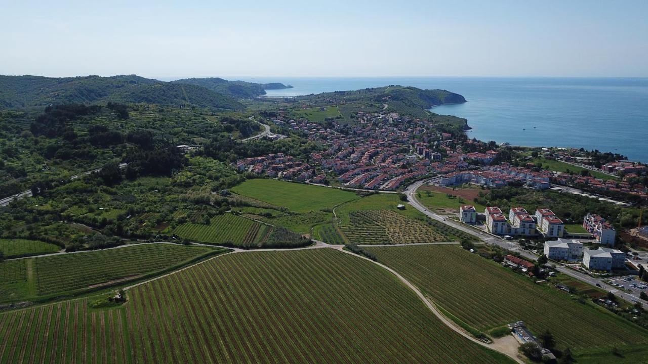 Apartments Villa Sandi Izola Kültér fotó